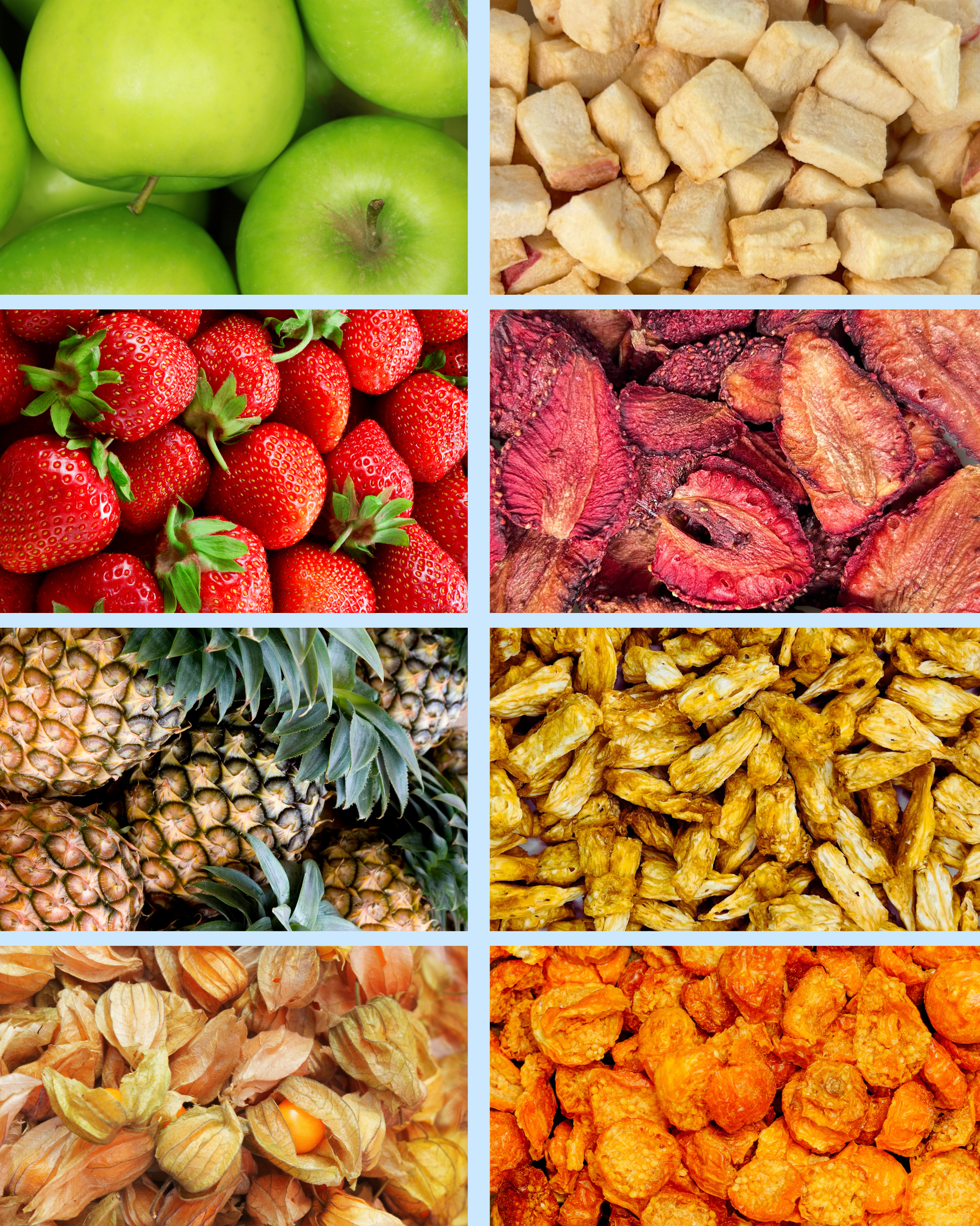 Koala‘s Probierset